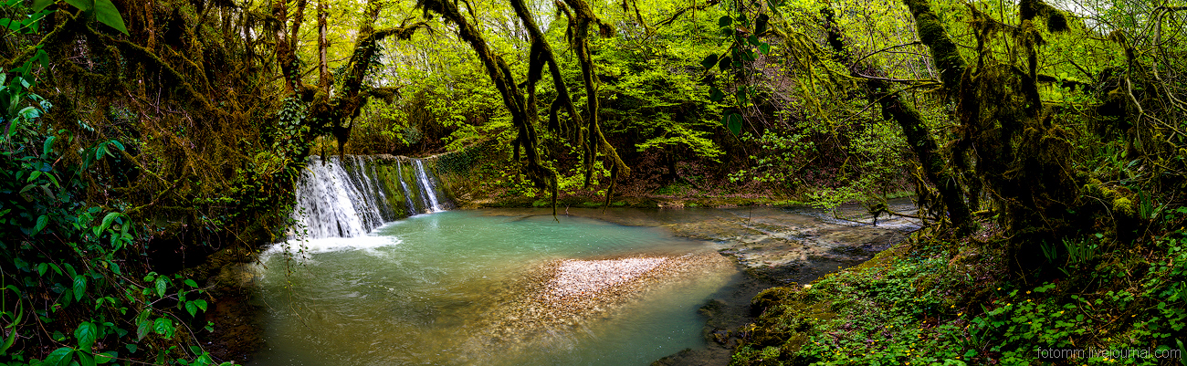 Abkhazia. Fairy forest_20