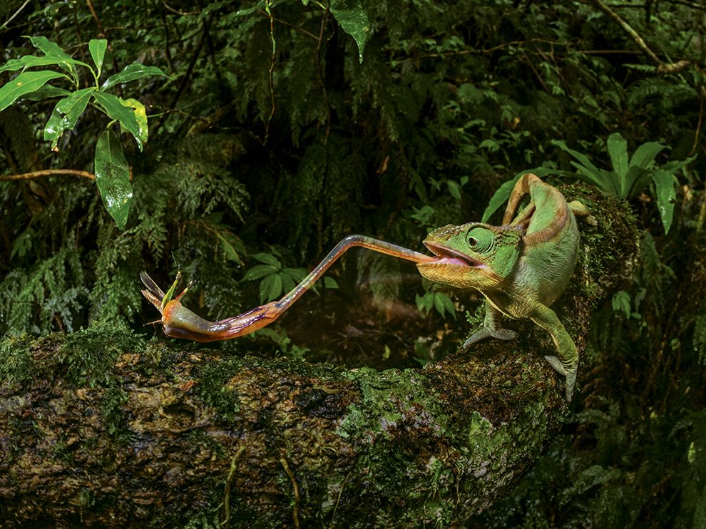 National Geographic best photos_09