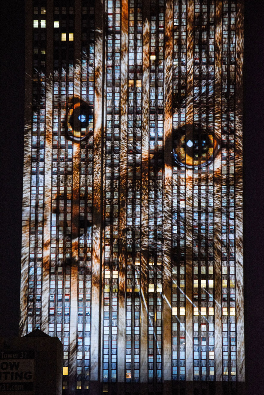 empire-state-projection-endangered-animals-nyc-33