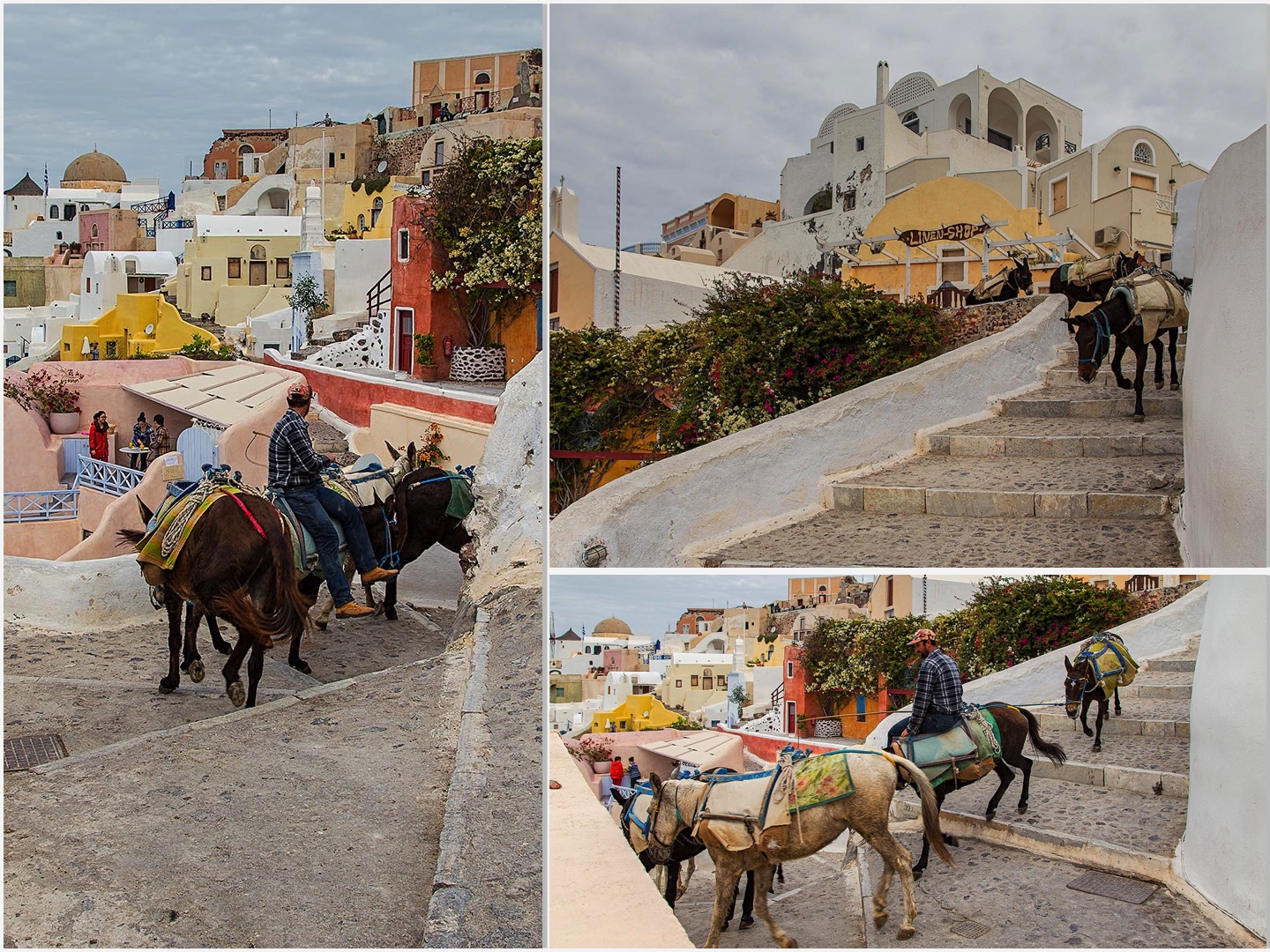 Οία.Santorini.Greece_29