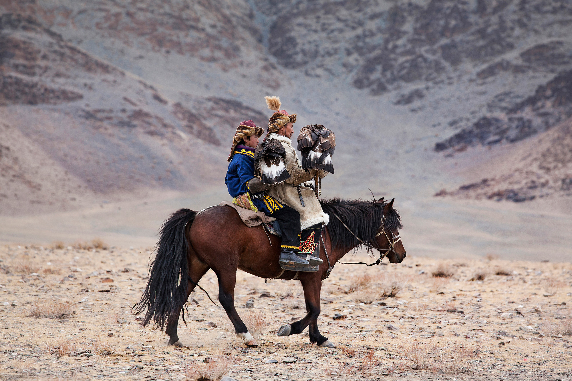 Eagle hunting in Mongolia 07
