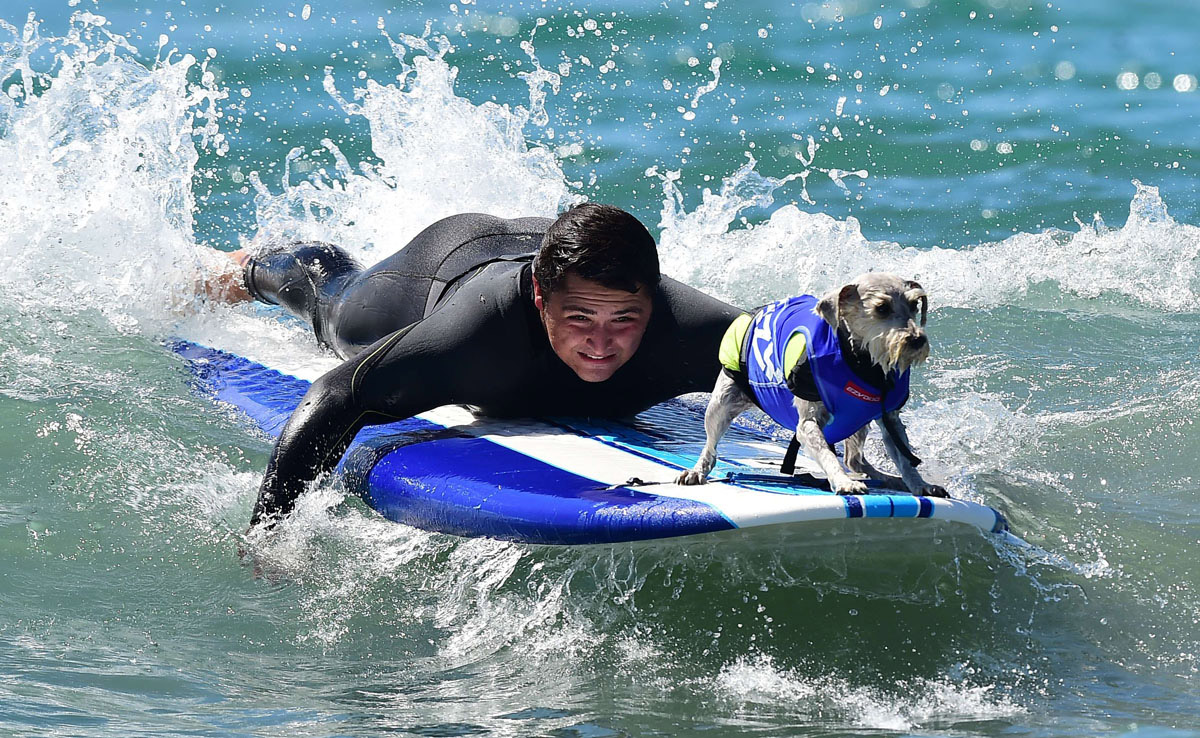 Surf’s up for these dogs in Southern California_13