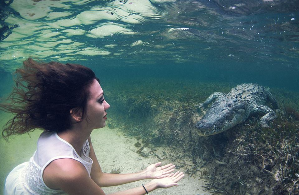 Swimming With Crocodiles_01