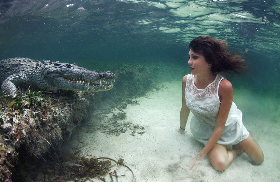 Swimming With Crocodiles_04