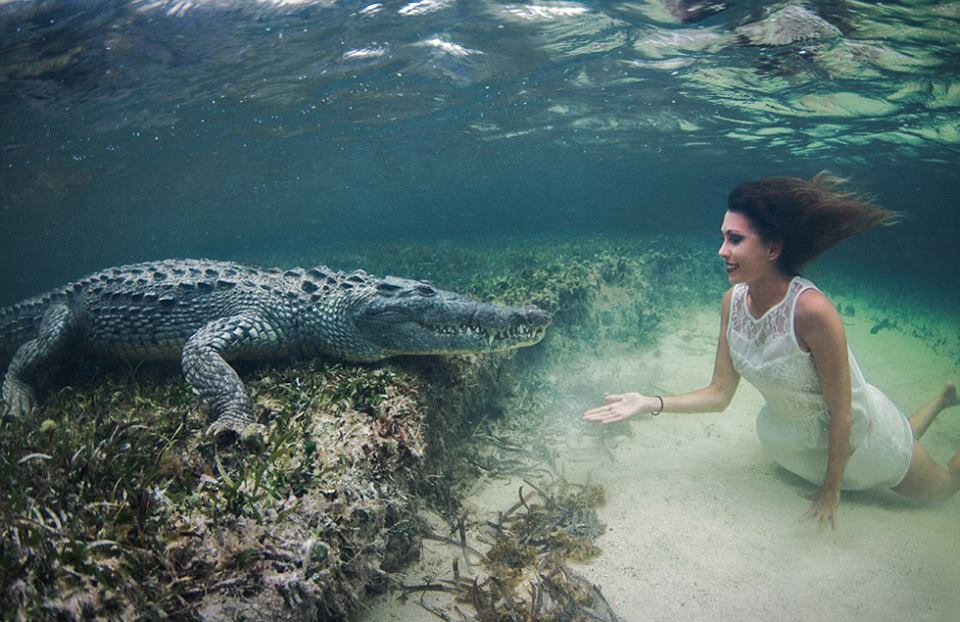 Swimming With Crocodiles_08