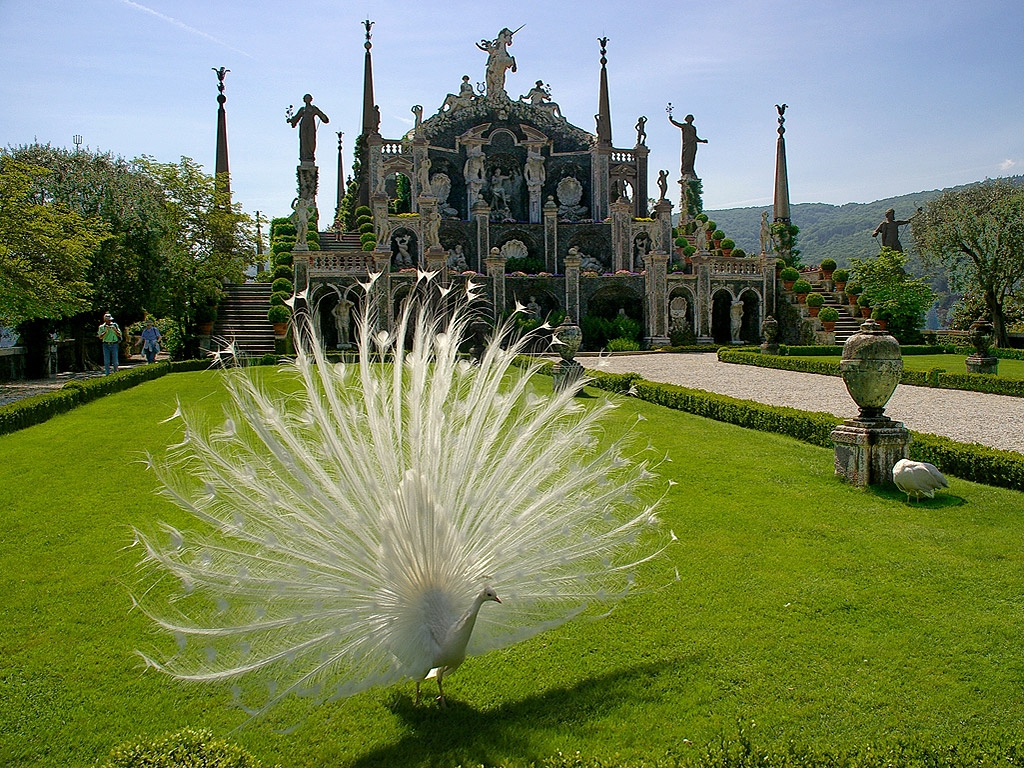 The gardens of Isola Bella 03