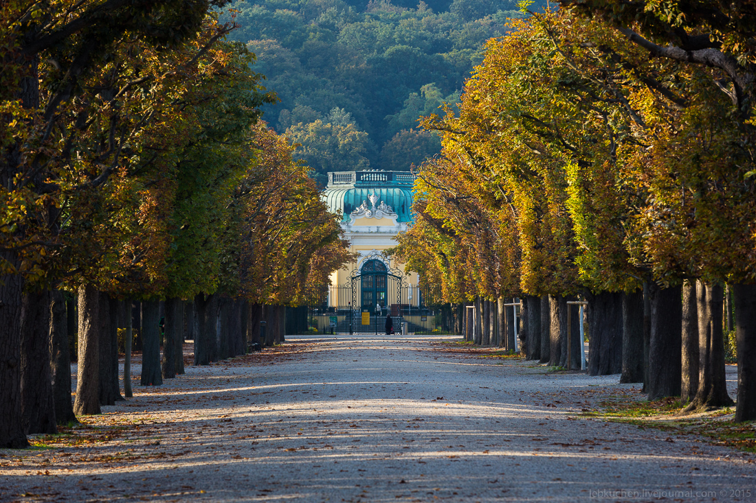 Schloss Schönbrunn 27