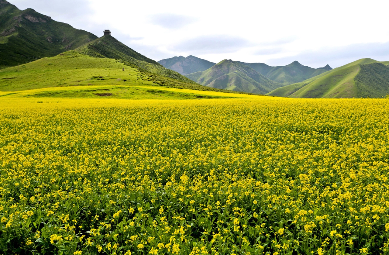 The Dramatic Landscape of China's Gansu Province 03