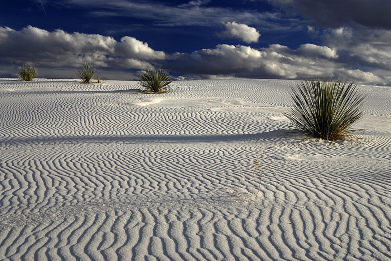 White Sands 20