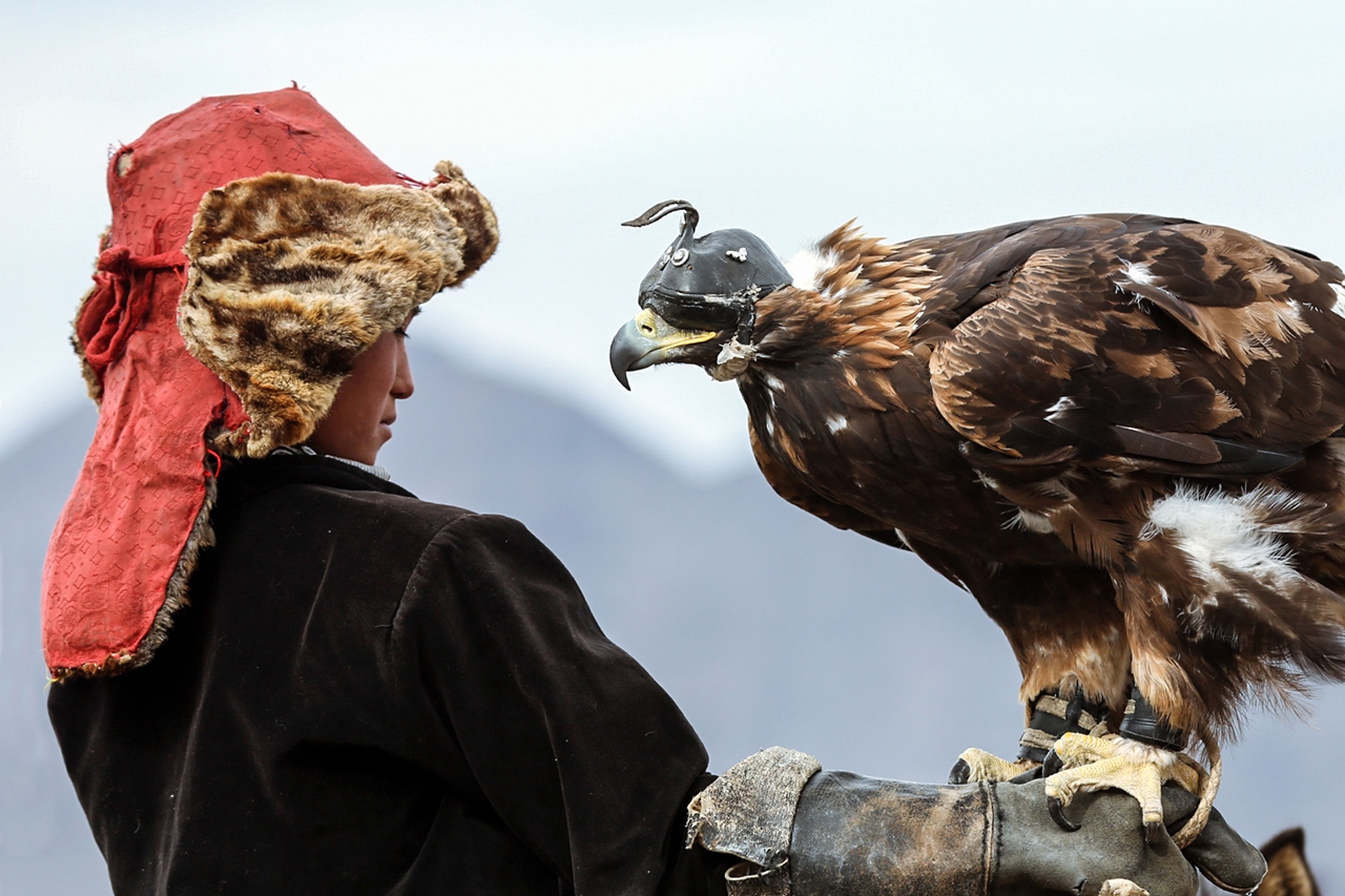 Golden Eagle Festival in Mongolia 03