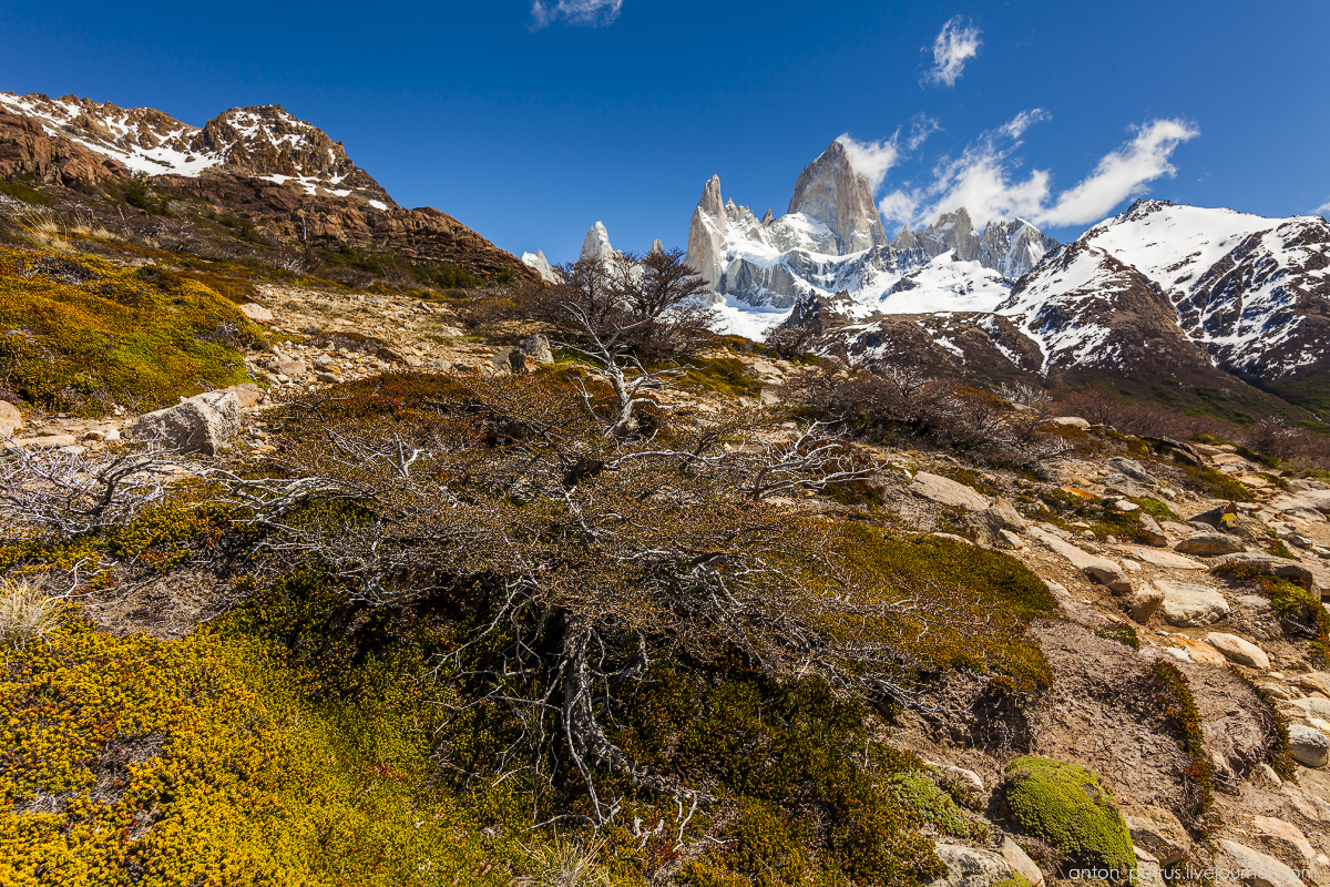 Patagonia. The most beautiful track in the world 04