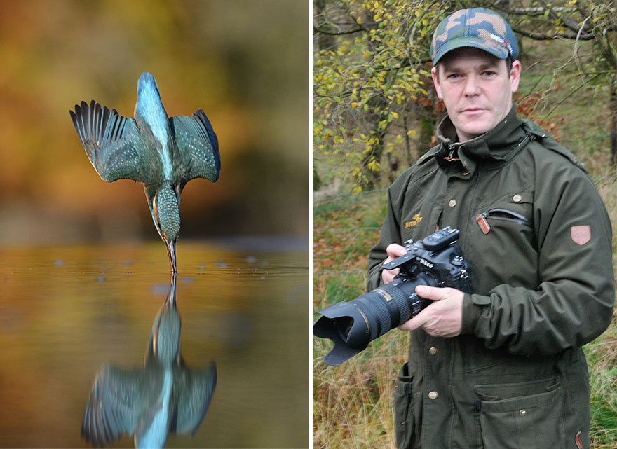 Photographer Finally Takes Perfect Shot Of Kingfisher 04
