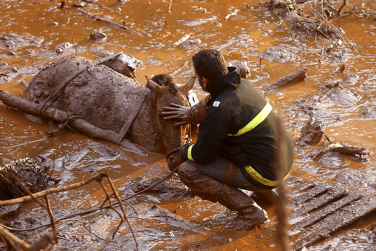 Photos of the Red Sludge That Smothered a Town in Brazil 02