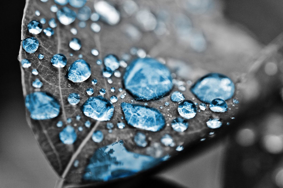 Beautiful pictures with dew drops 03