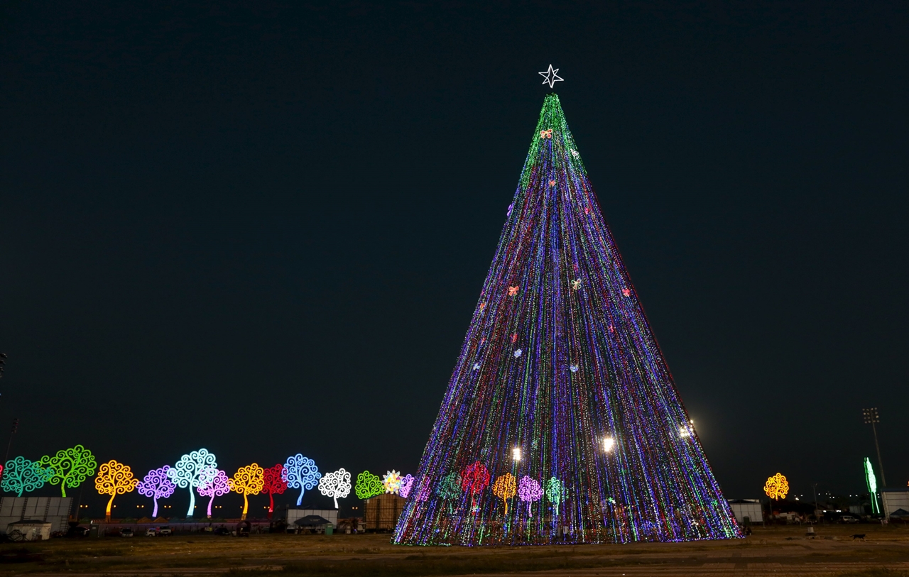 Christmas Trees around the World 21