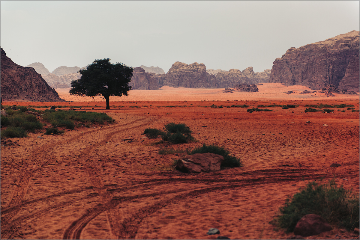Desert which are red rain 08