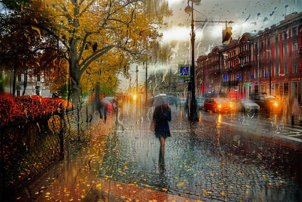 Photos of rainy weather, which look like oil paintings 01