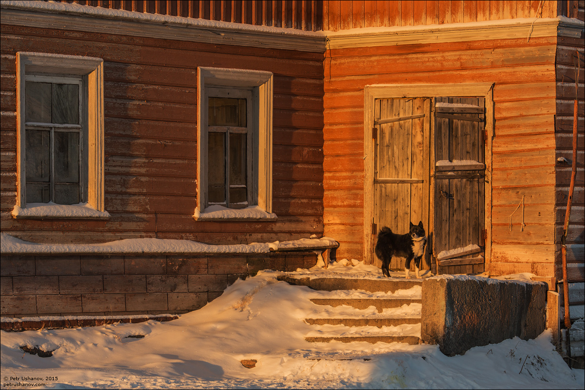Solovki - the harsh winter Beauty of the North 26