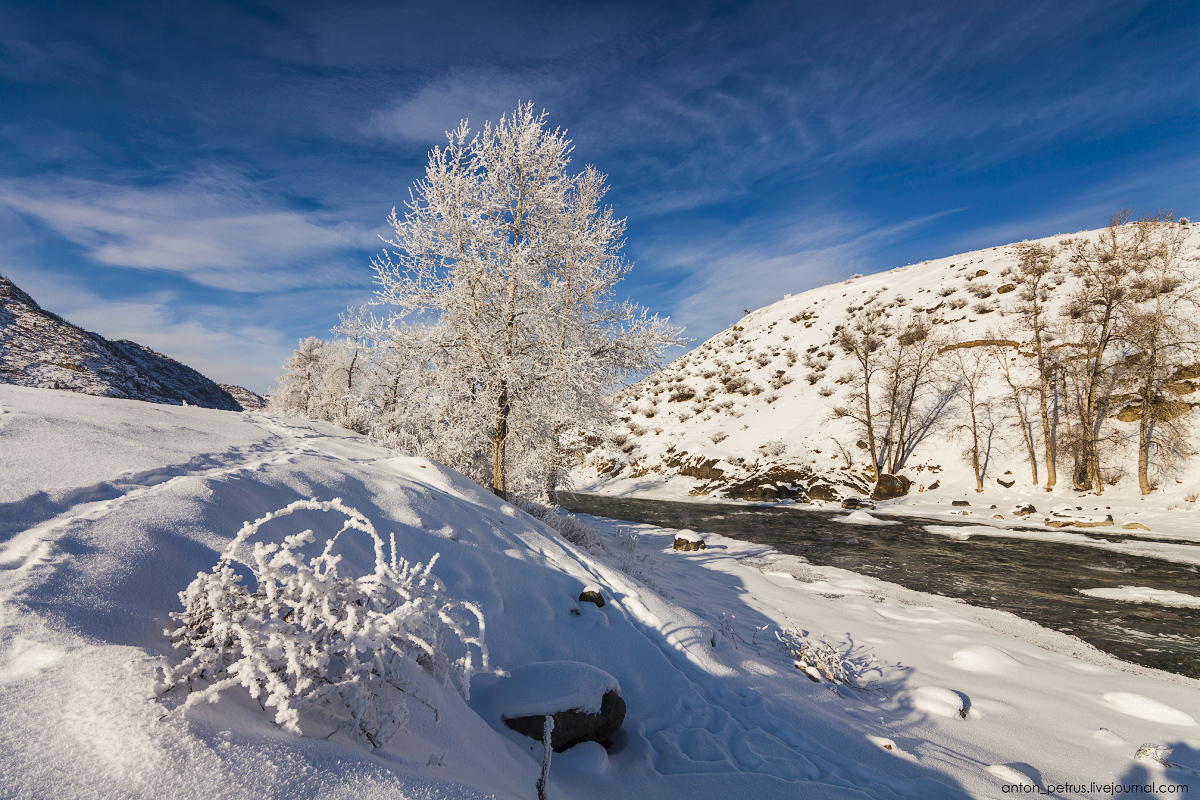 The tale of the Altai winter 10