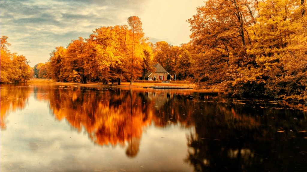 Красивые фотографии | FotoRelax