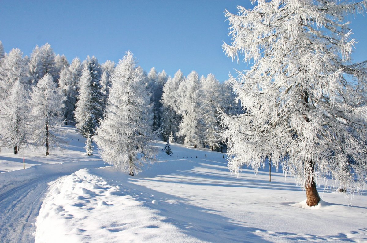 Beautiful winter photos 09