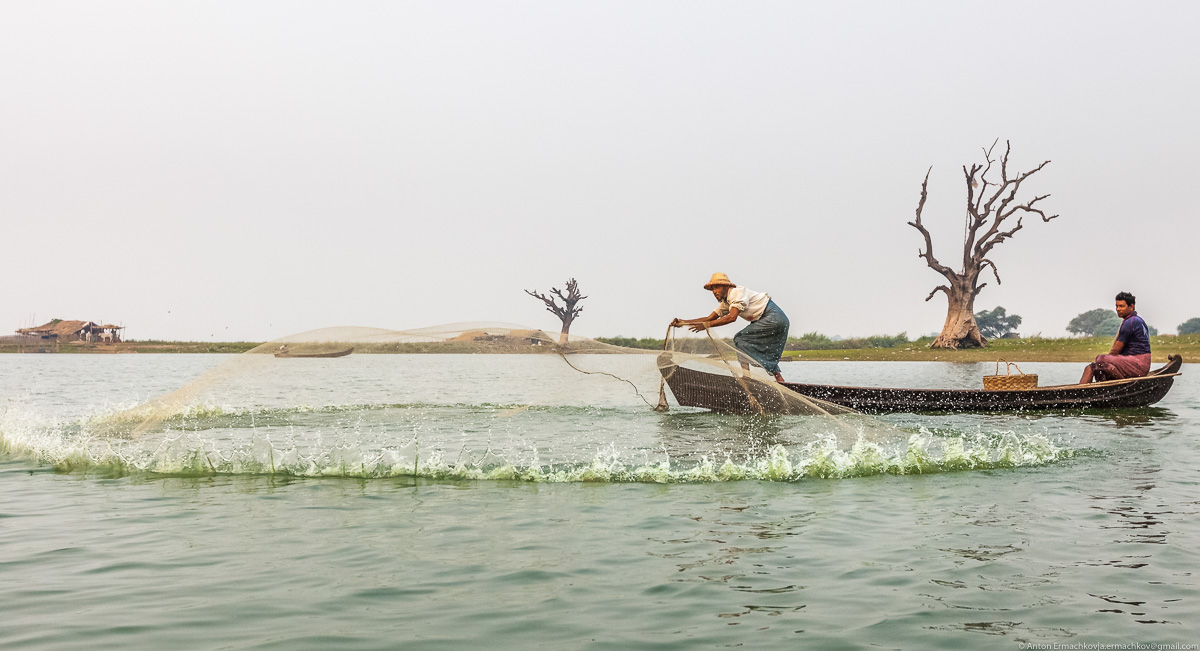 Fishing in Burma or the dance network 04
