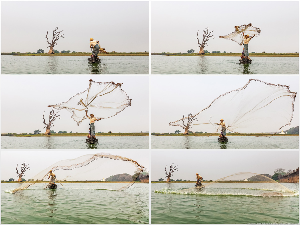 Fishing in Burma or the dance network 06
