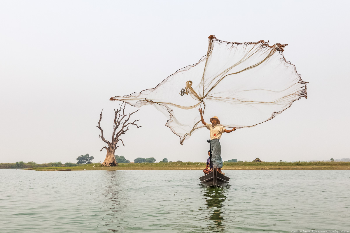 Fishing in Burma or the dance network 07