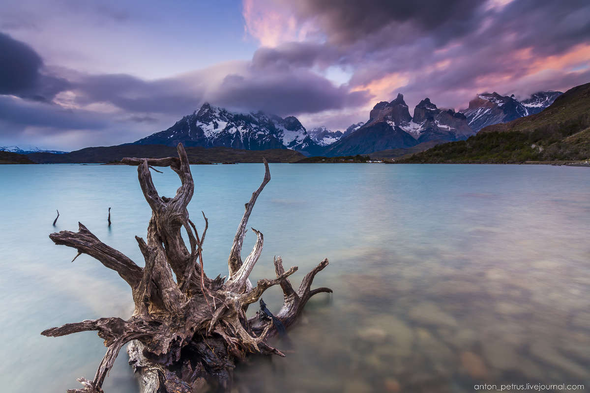 The energy of nature. Torres del Paine 01