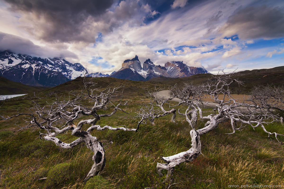 The house of the wind. Torres del Paine, Chile 12
