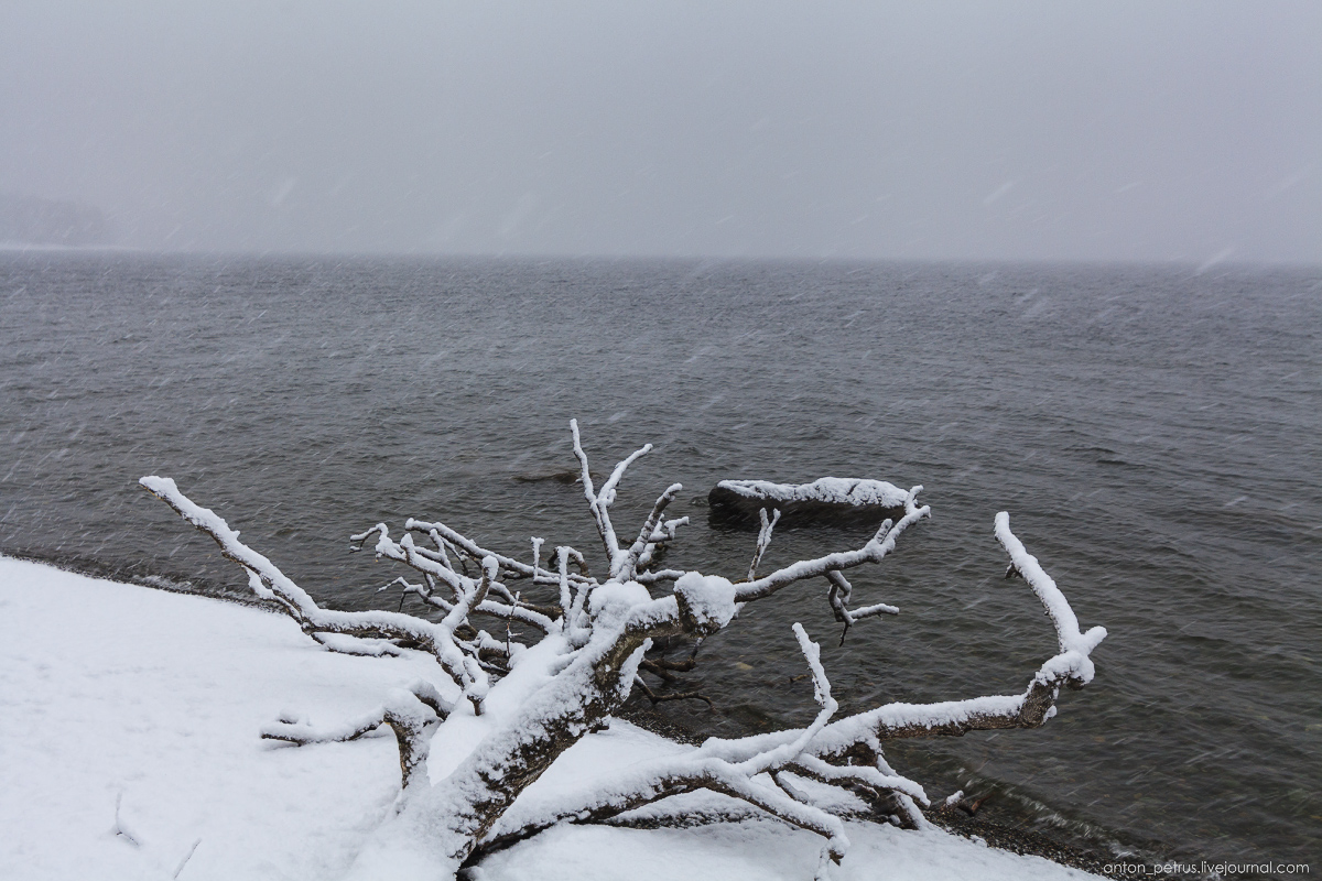 Winter on lake Teletskoye 11