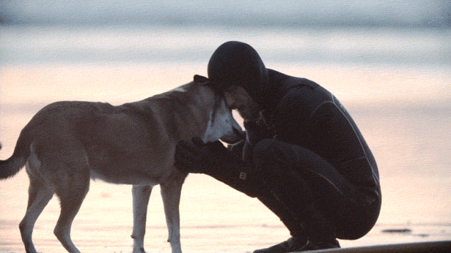 Incredible story about a man and his dog that helped him beat cancer 05