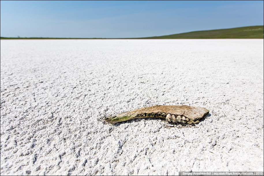 Salt desert of Crimea 12
