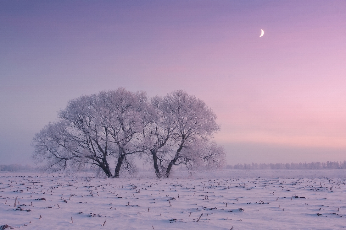 Snow white's tale the winter of Belarus in the lens Ugolnikova 15