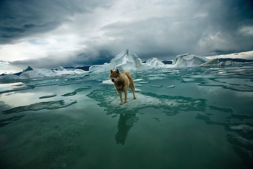 The Arctic the vanishing North 01