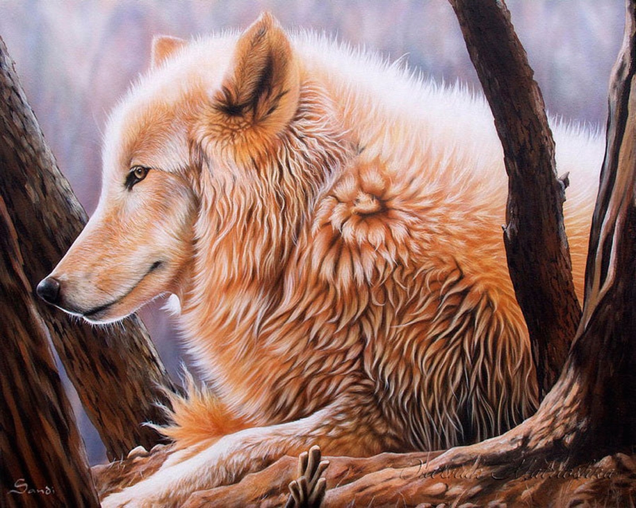 Awesome realistic drawings of animals 22