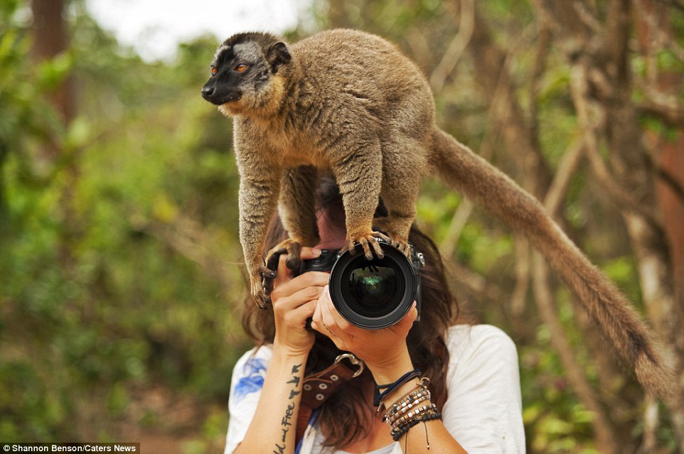 Brave girl-the photographer easily finds common language with wild animals 04