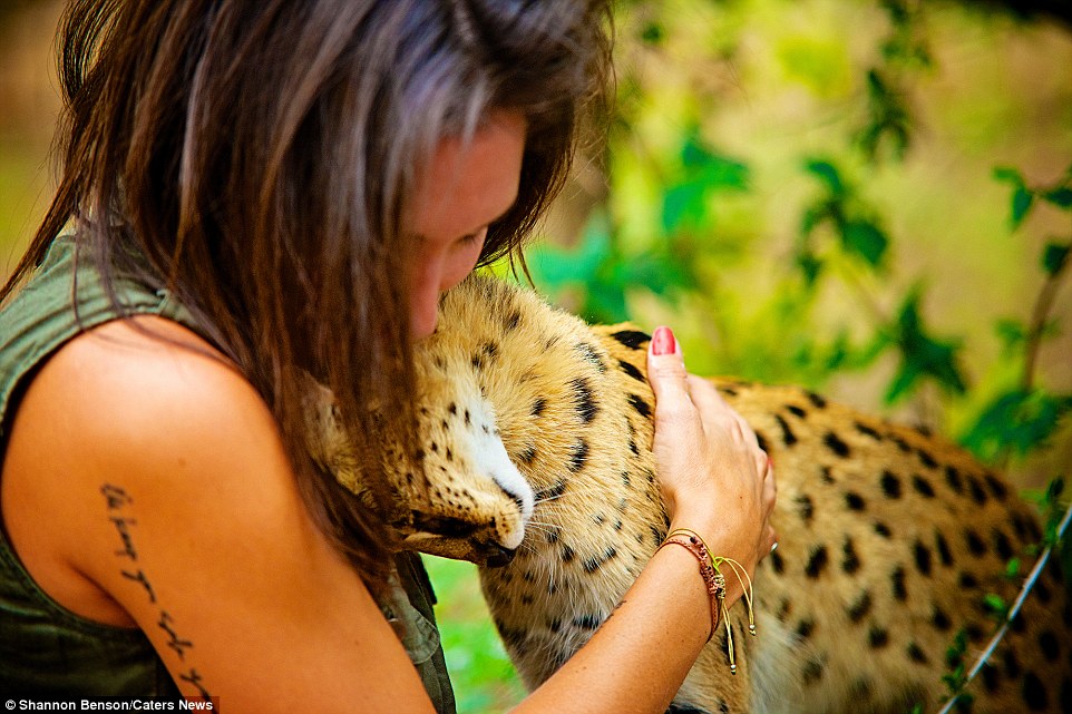 Brave girl-the photographer easily finds common language with wild animals 07