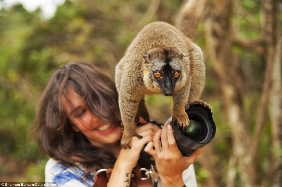 Brave girl-the photographer easily finds common language with wild animals 08