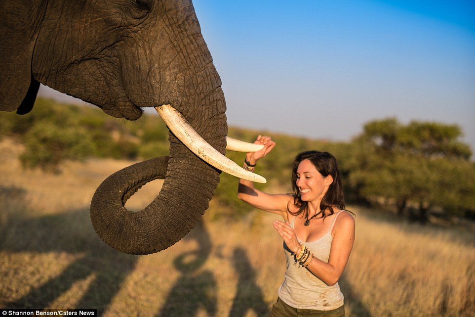 Brave girl-the photographer easily finds common language with wild animals 10