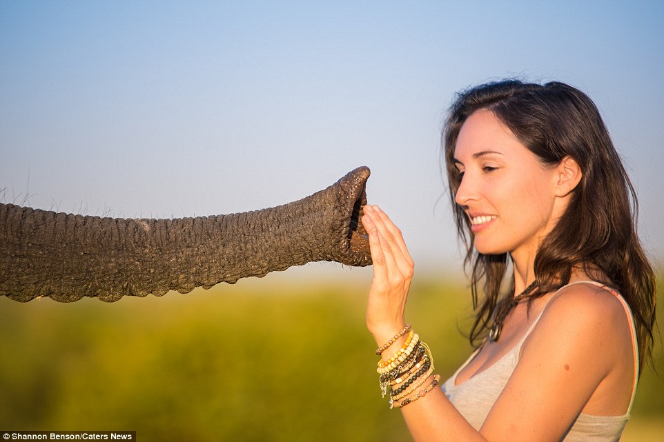 Brave girl-the photographer easily finds common language with wild animals 11