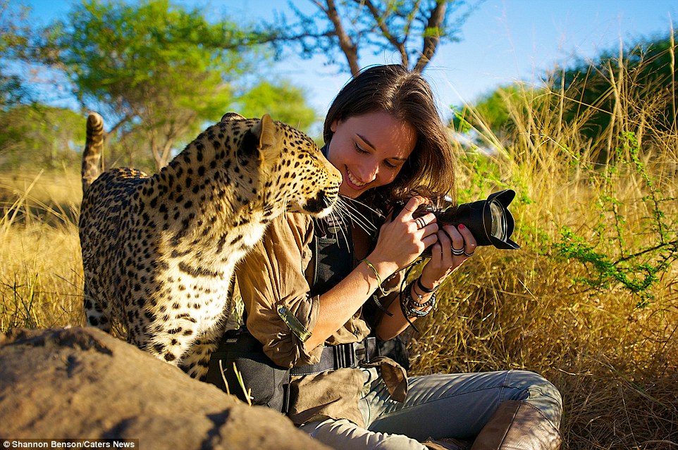 Brave girl-the photographer easily finds common language with wild animals 14