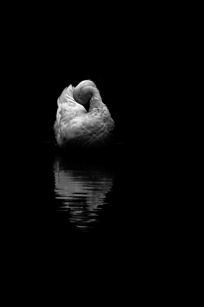 The art of black and white photography Enrique Pelaez 13
