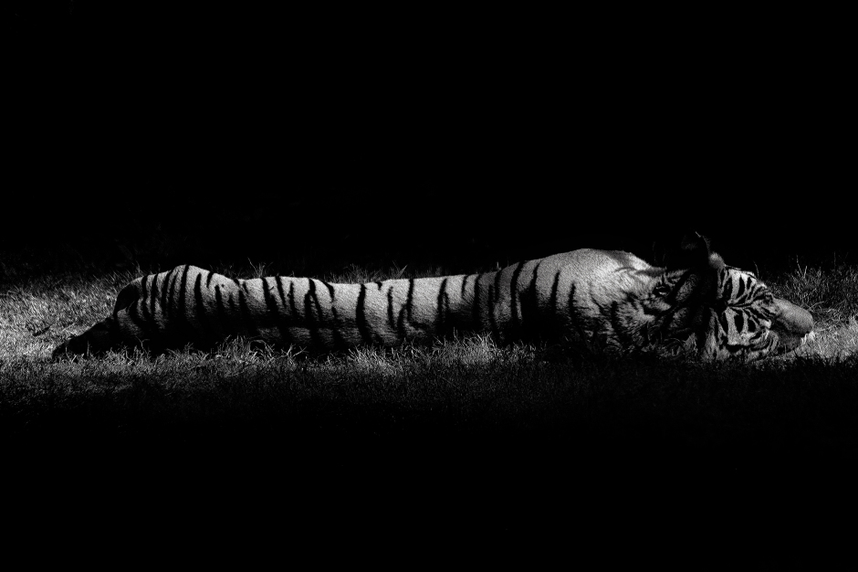 The art of black and white photography Enrique Pelaez 16
