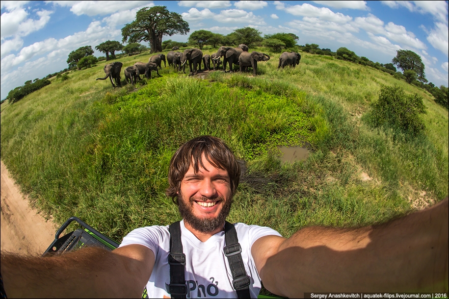 Царство слонов. Национальный парк Тарангире 27