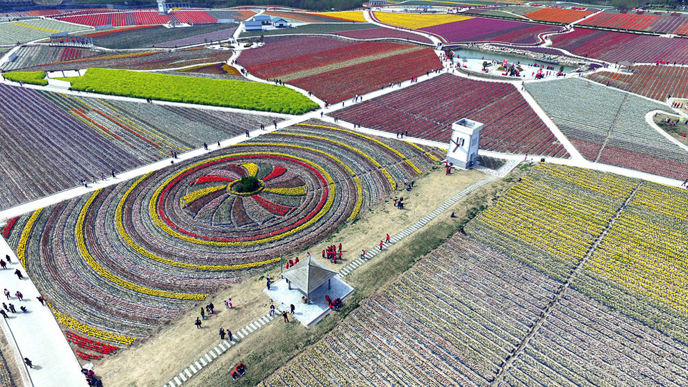 Breathtaking Aerial Views Of China’s Tulip Fields 04