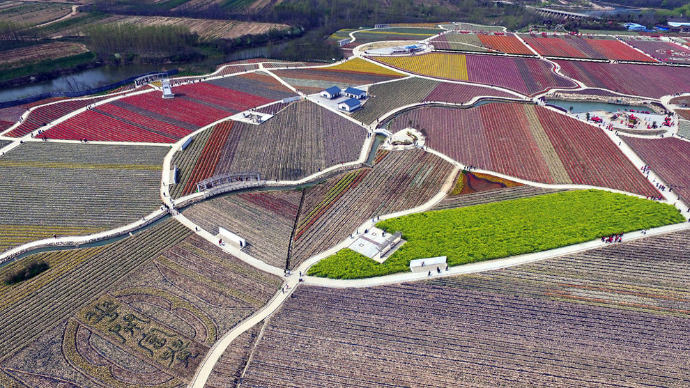 Breathtaking Aerial Views Of China’s Tulip Fields 07