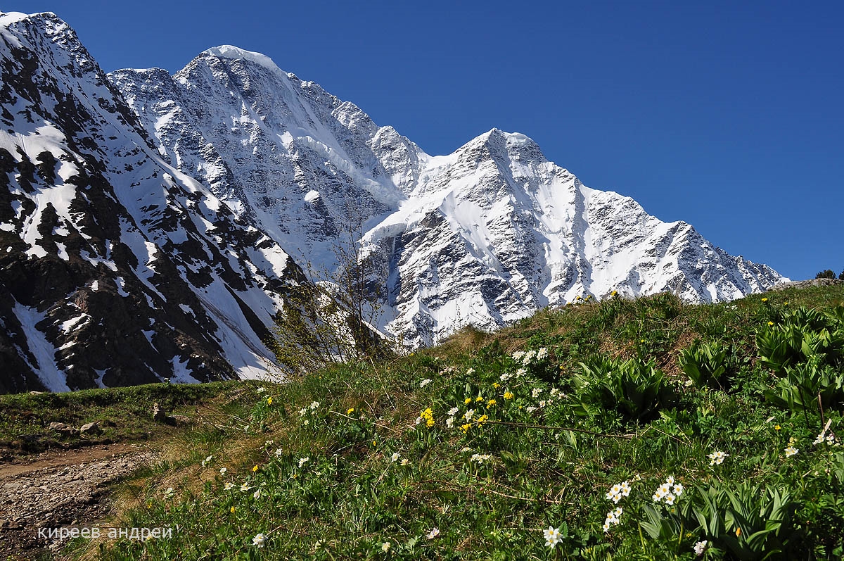 The Caucasus. Elbrus 22