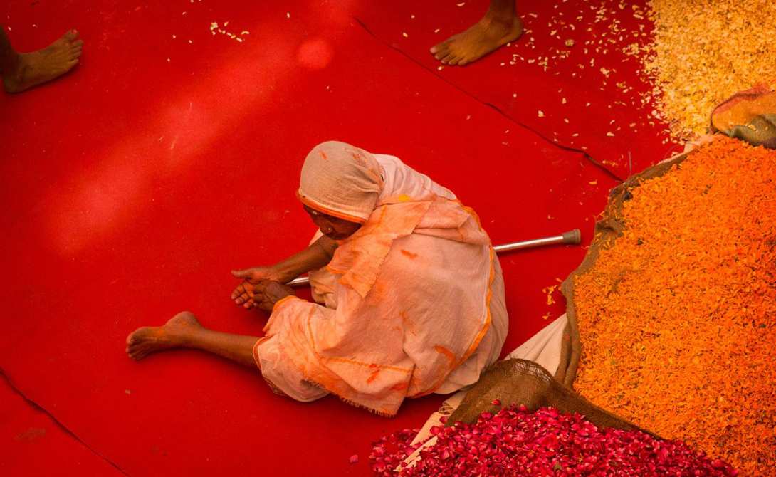 The festival of Holi the most colourful festival in the world 12