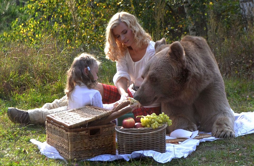 Bear Stepan and his unusual life in a Russian family 14